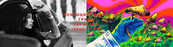 прущая мука Белоозёрский