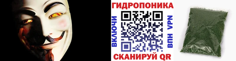 МАРИХУАНА SATIVA & INDICA как найти Кораблино